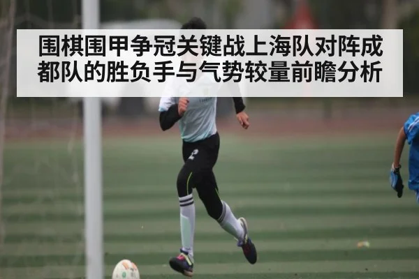 围棋围甲争冠关键战上海队对阵成都队的胜负手与气势较量前瞻分析